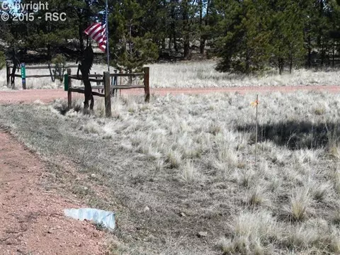 1170 Doe Valley Rd, Guffey, CO 80820 photo 14