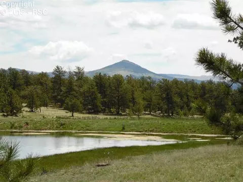 1170 Doe Valley Rd, Guffey, CO 80820 photo 7
