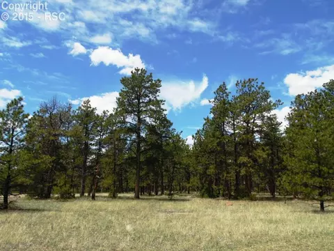 1170 Doe Valley Rd, Guffey, CO 80820 photo 1