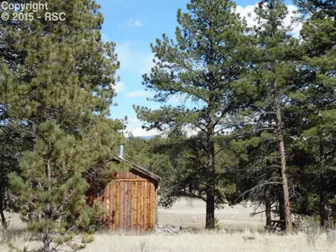 1170 Doe Valley Rd, Guffey, CO 80820 photo 4
