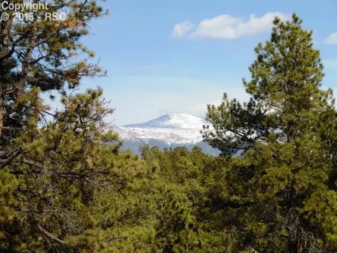 1170 Doe Valley Rd, Guffey, CO 80820 photo 12