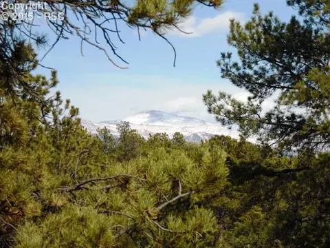 1170 Doe Valley Rd, Guffey, CO 80820 photo 2