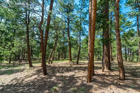 19085 Hilltop Pines Path, Monument, CO 80132 photo 1