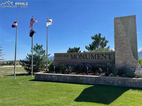 16230 Mountain Flax Dr, Monument, CO 80132 photo 29