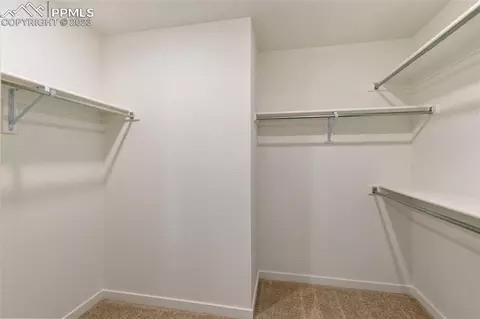 16230 Mountain Flax Dr, Monument, CO 80132 photo 18