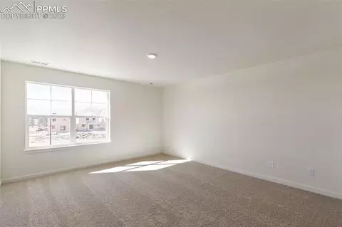 16230 Mountain Flax Dr, Monument, CO 80132 photo 13