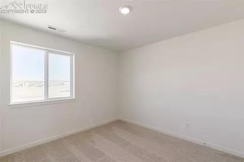 16230 Mountain Flax Dr, Monument, CO 80132 photo 19