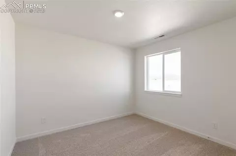 16230 Mountain Flax Dr, Monument, CO 80132 photo 20