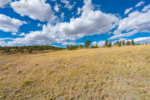 Dog Chief Trail, Hartsel, CO 80449