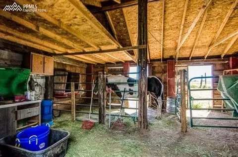 17955 Countdown Dr, Peyton, CO 80831 photo 6