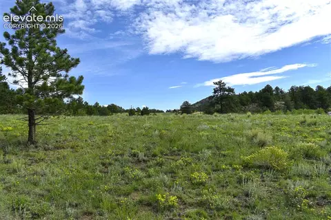 32 Peak Dr, Guffey, CO 80820 photo 9
