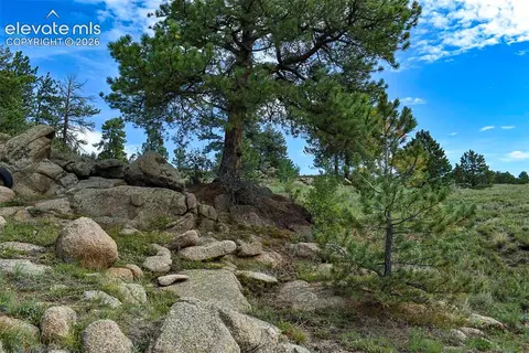 32 Peak Dr, Guffey, CO 80820 photo 30