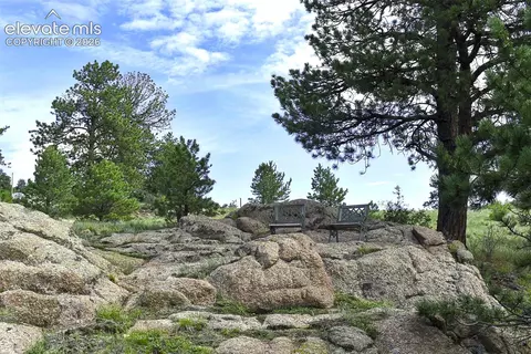32 Peak Dr, Guffey, CO 80820 photo 3