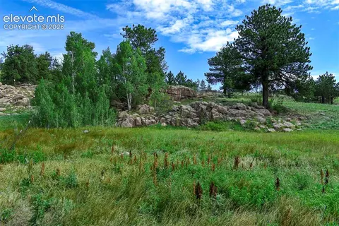 32 Peak Dr, Guffey, CO 80820 photo 36