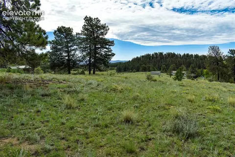 32 Peak Dr, Guffey, CO 80820 photo 8