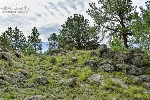32 Peak Dr, Guffey, CO 80820 photo 33