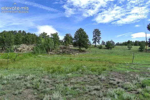 32 Peak Dr, Guffey, CO 80820 photo 2