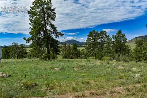 32 Peak Dr, Guffey, CO 80820 photo 7