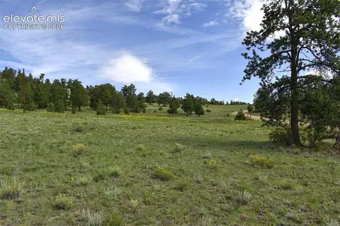 32 Peak Dr, Guffey, CO 80820 photo 10