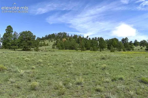 32 Peak Dr, Guffey, CO 80820 photo 11