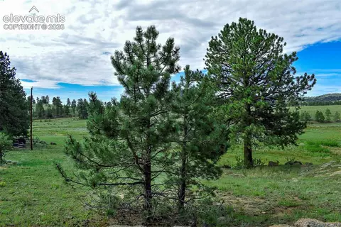 32 Peak Dr, Guffey, CO 80820 photo 43
