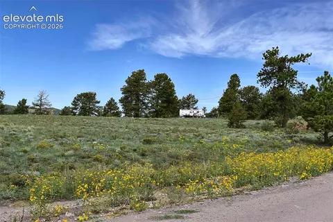 32 Peak Dr, Guffey, CO 80820 photo 46