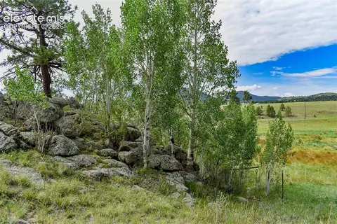 32 Peak Dr, Guffey, CO 80820 photo 34