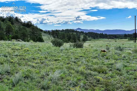32 Peak Dr, Guffey, CO 80820 photo 44