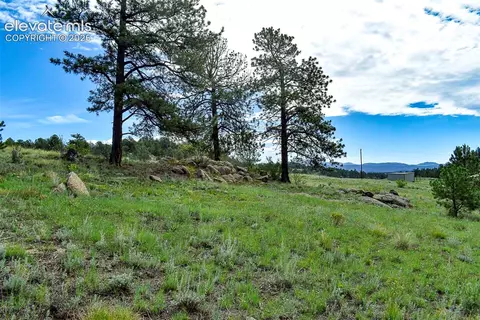32 Peak Dr, Guffey, CO 80820 photo 29