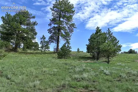 32 Peak Dr, Guffey, CO 80820 photo 5