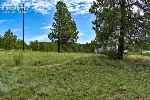 32 Peak Dr, Guffey, CO 80820 photo 25