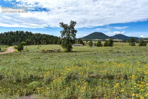 32 Peak Dr, Guffey, CO 80820 photo 12