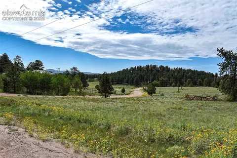 32 Peak Dr, Guffey, CO 80820 photo 49