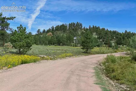 32 Peak Dr, Guffey, CO 80820 photo 47