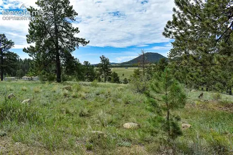 32 Peak Dr, Guffey, CO 80820 photo 23
