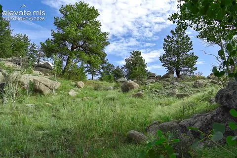 32 Peak Dr, Guffey, CO 80820 photo 35