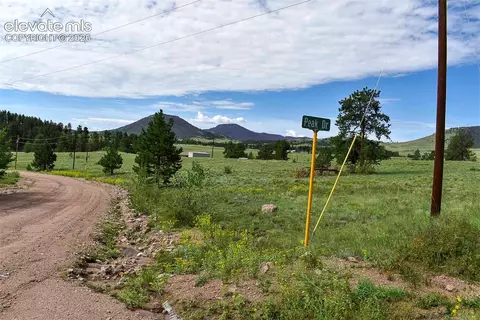 32 Peak Dr, Guffey, CO 80820 photo 50