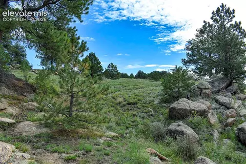 32 Peak Dr, Guffey, CO 80820 photo 31