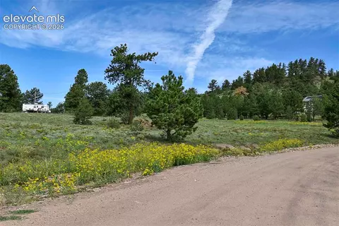 32 Peak Dr, Guffey, CO 80820 photo 13