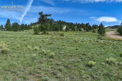 32 Peak Dr, Guffey, CO 80820 photo 48