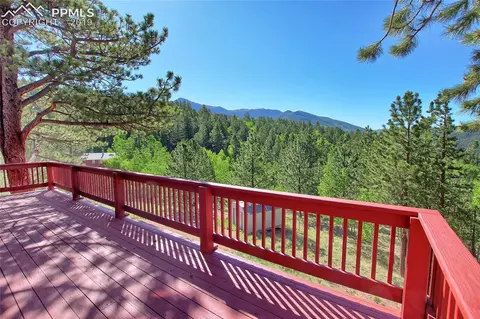 487 Calcite Dr, Divide, CO 80814 photo 10