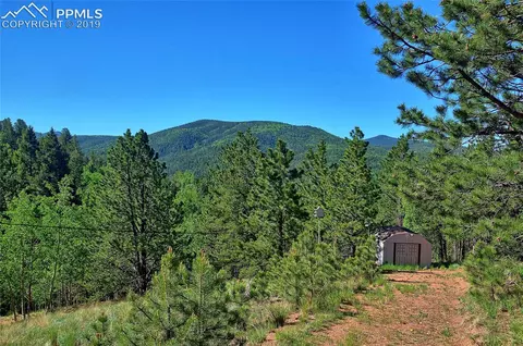 487 Calcite Dr, Divide, CO 80814 photo 36