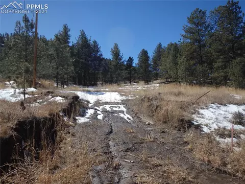 1298 County Road 112, Florissant, CO 80816
