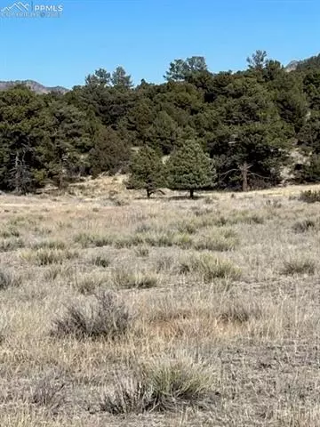 474 Chocktaw Dr, Canon City, CO 81212