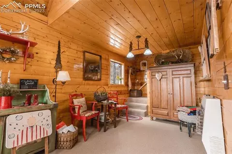 2901 Basin Dr, Cotopaxi, CO 81223 photo 16