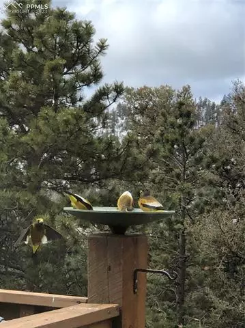 2901 Basin Dr, Cotopaxi, CO 81223 photo 40
