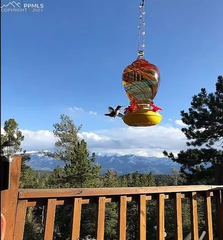 2901 Basin Dr, Cotopaxi, CO 81223 photo 39
