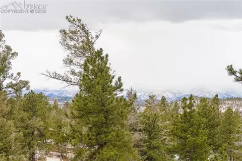 2901 Basin Dr, Cotopaxi, CO 81223 photo 24