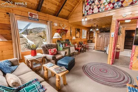 2901 Basin Dr, Cotopaxi, CO 81223 photo 13