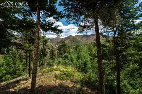 9140 Mountain Rd, Cascade, CO 80809 photo 29